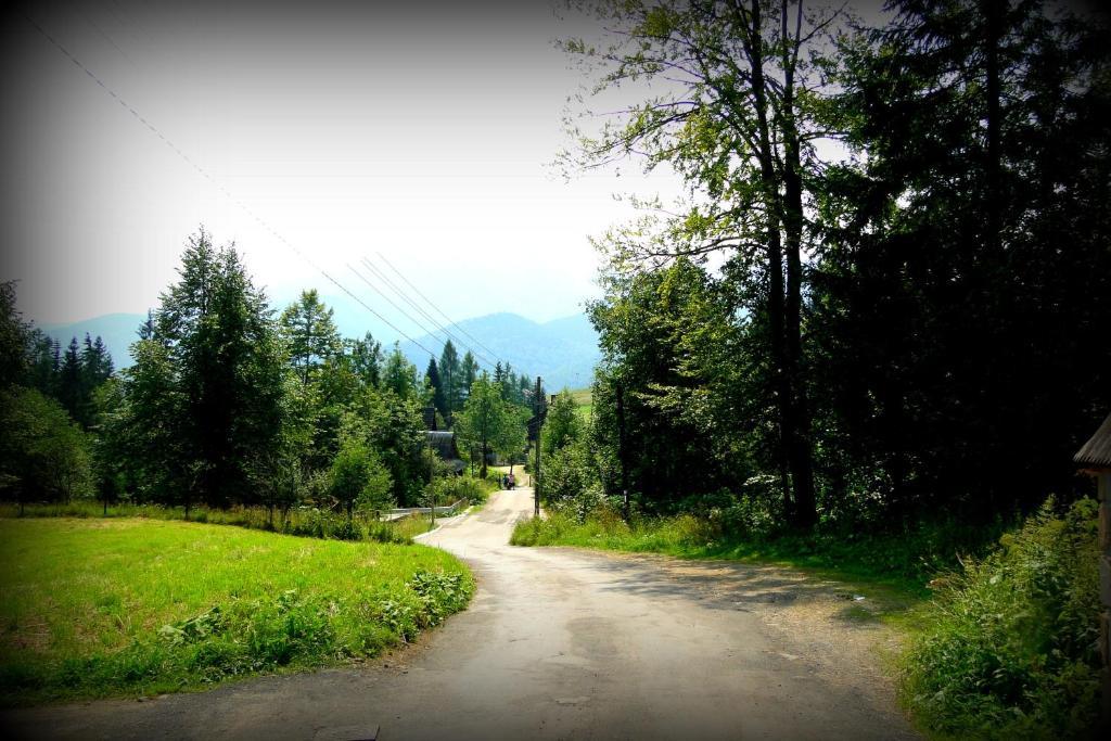 Willa Widokowa Zakopane Exterior foto
